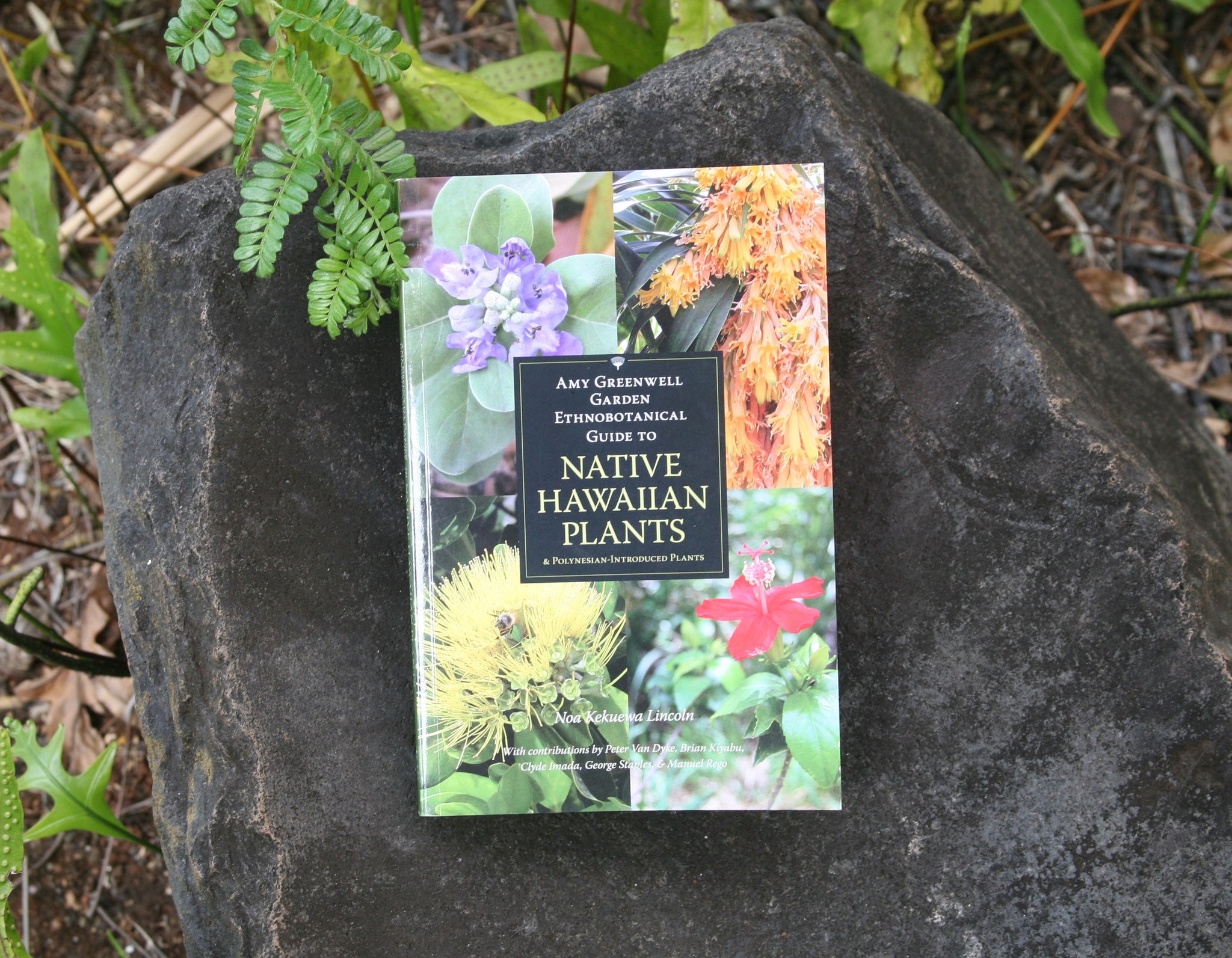 The Amy Greenwell Garden Ethnobotanical Guide to Native Hawaiian Plants & Polynesian-Introduced Plants