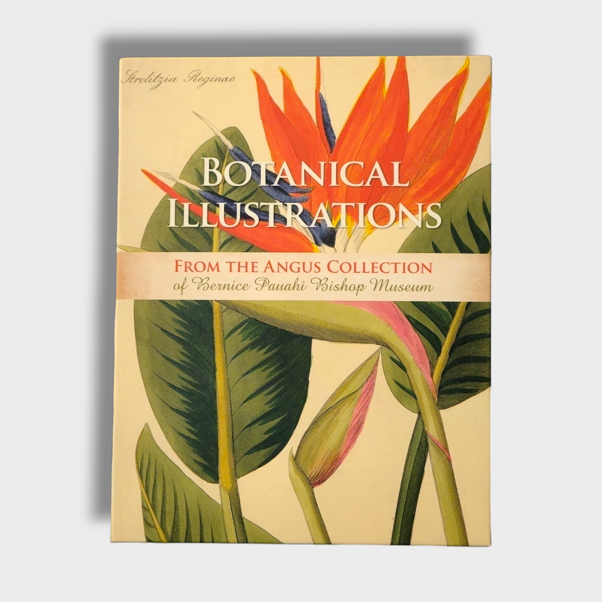 Botanical Illustrations from the Angus Collection of Bernice Pauahi Bishop Museum Notecards