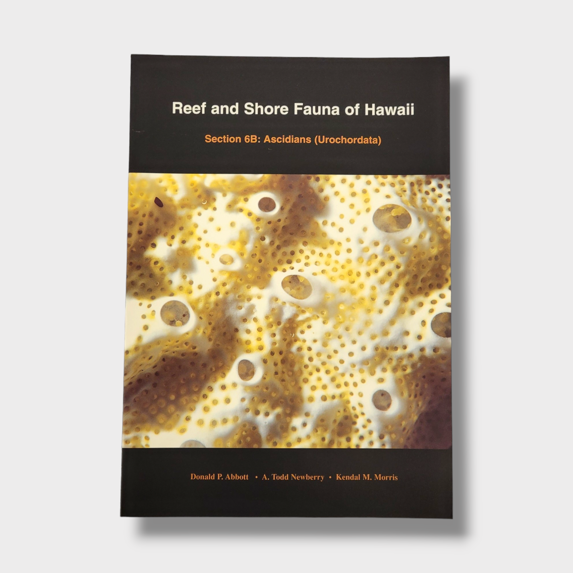 Reef and Shore Fauna of Hawaii, Section 6B: Ascidians (Urochordata)