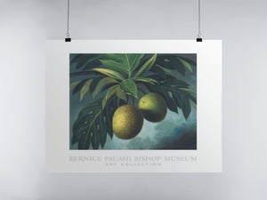 Breadfruit Poster