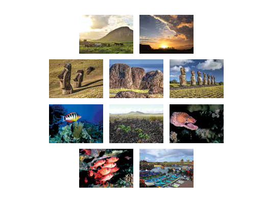 Rapa Nui: The Untold Stories of Easter Island | Landscapes and Seascapes of Rapa Nui Notecards